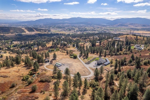 birds eye view of property featuring a mountain view