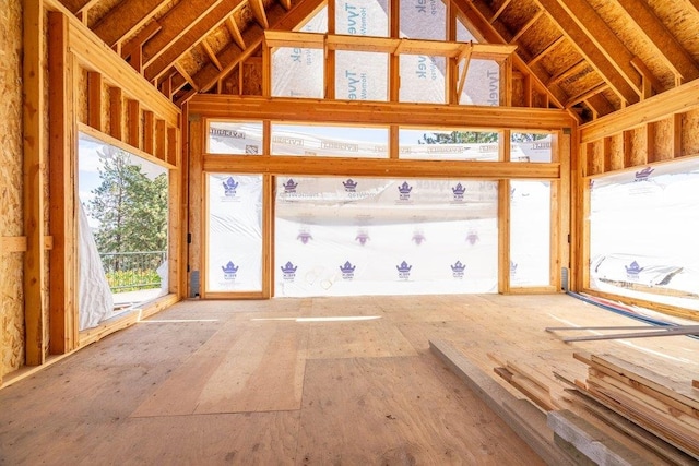 misc room with lofted ceiling