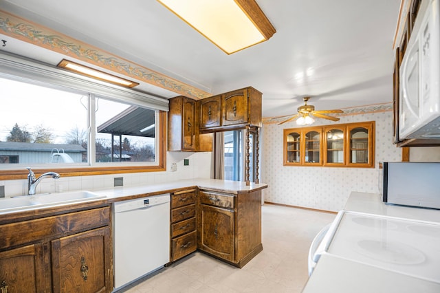 kitchen featuring ceiling fan, white appliances, sink, and a wealth of natural light