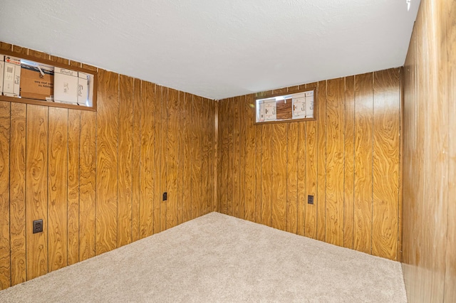 basement featuring carpet floors and wooden walls