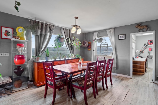 dining room featuring light hardwood / wood-style flooring and a healthy amount of sunlight