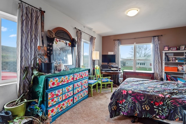 bedroom with carpet flooring