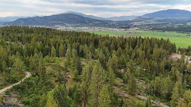 842 Valley Westside Rd, Colville, WA 99114 - photo 12