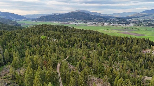 842 Valley Westside Rd, Colville, WA 99114 - photo 21