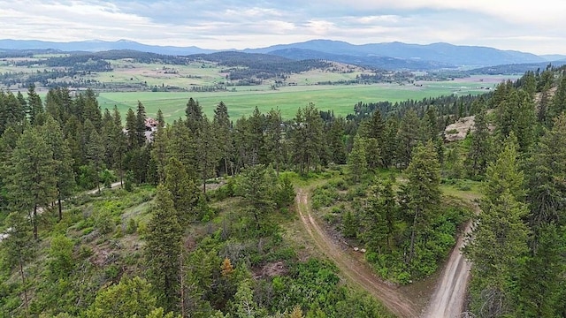 842 Valley Westside Rd, Colville, WA 99114 - photo 4