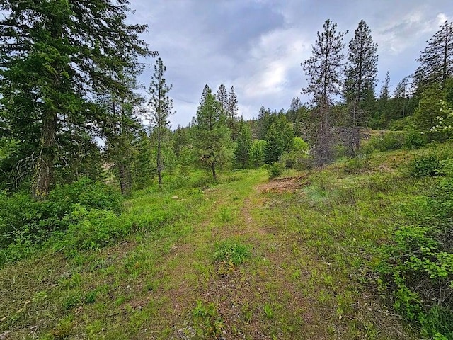 842 Valley Westside Rd, Colville, WA 99114 - photo 5