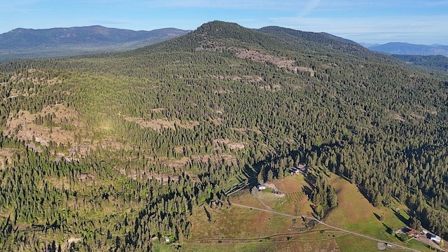 842 Valley Westside Rd, Colville, WA 99114 - photo 8