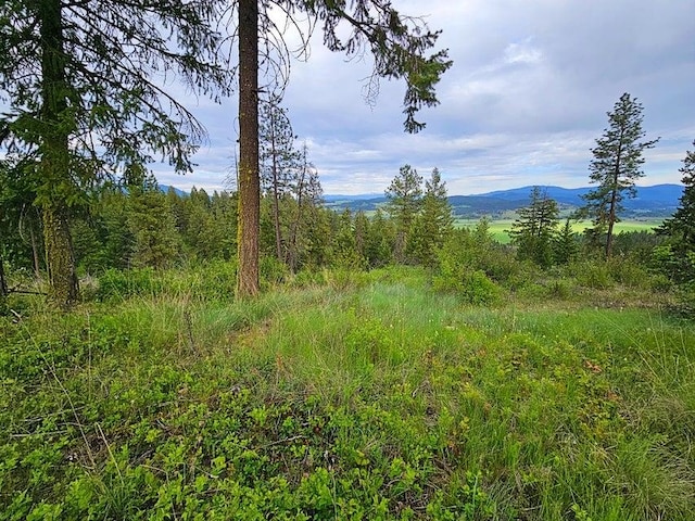 842 Valley Westside Rd, Colville, WA 99114 - photo 9