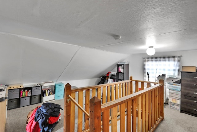 additional living space with carpet flooring, a textured ceiling, and vaulted ceiling