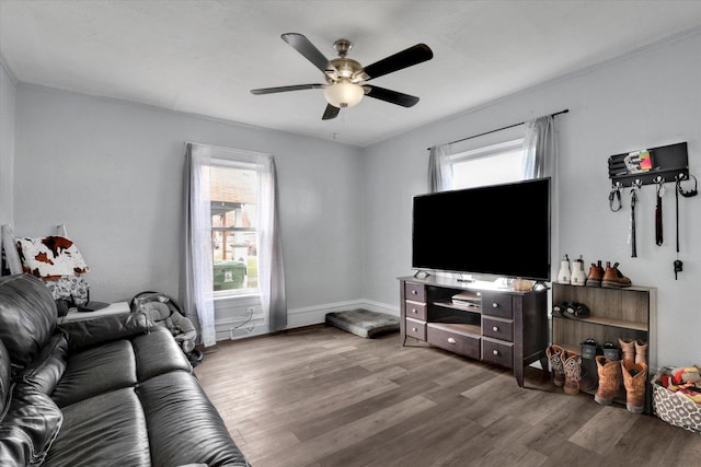 living room with ceiling fan, plenty of natural light, and hardwood / wood-style floors