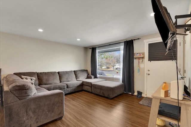 living room featuring hardwood / wood-style floors