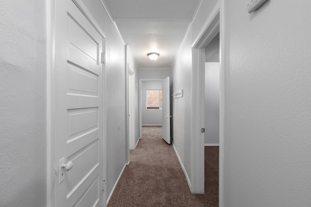 corridor featuring carpet and ornamental molding