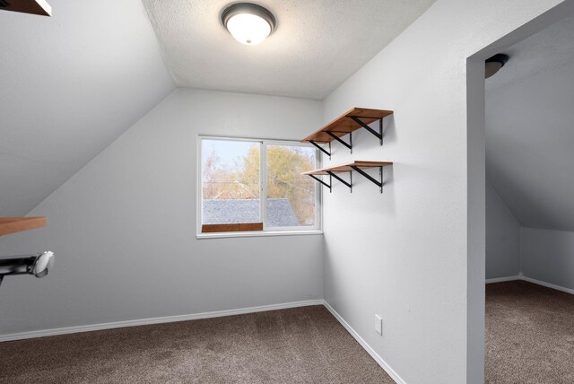 additional living space featuring lofted ceiling and carpet floors