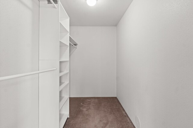 walk in closet featuring dark colored carpet