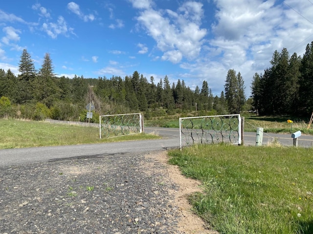 view of road