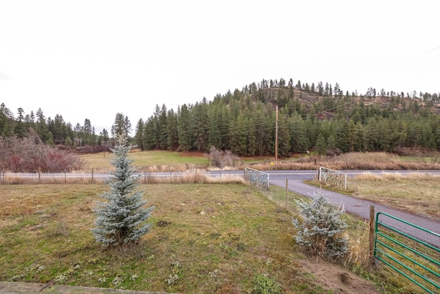 view of yard featuring a rural view