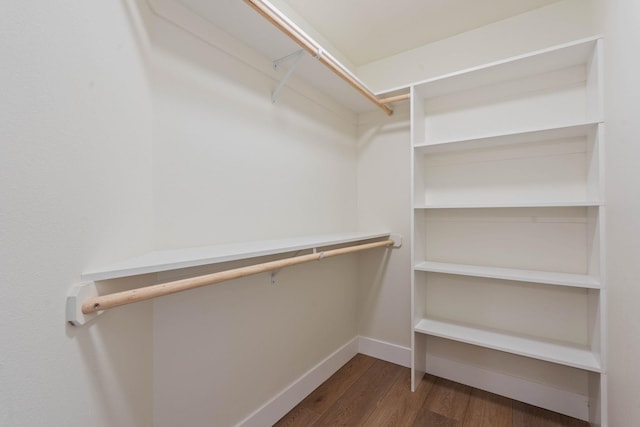 spacious closet with dark hardwood / wood-style floors