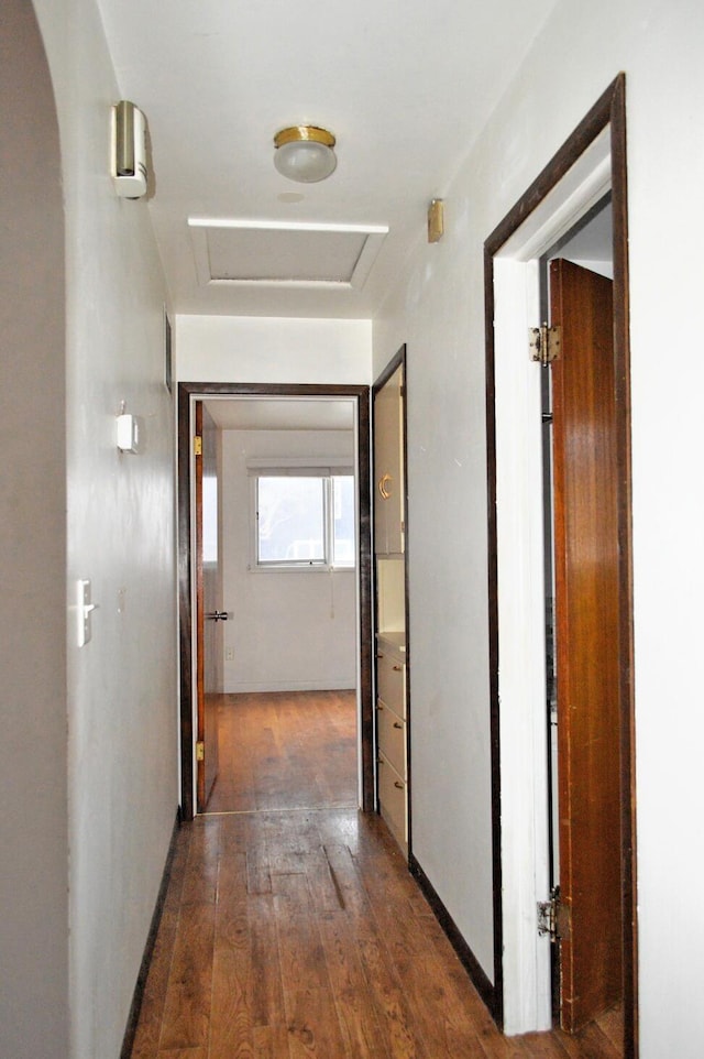 hallway featuring dark wood-type flooring