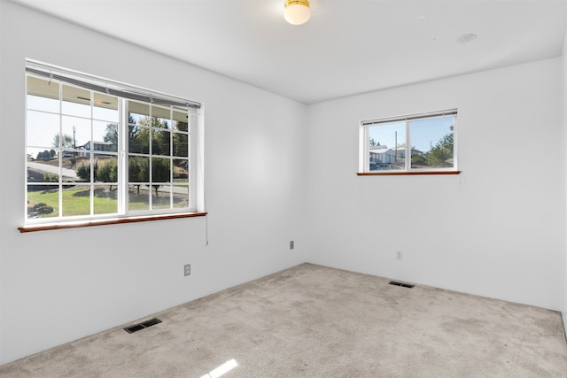 carpeted empty room with a wealth of natural light