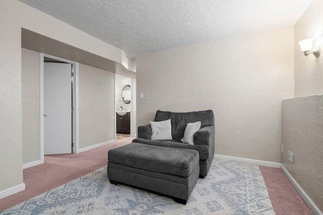 sitting room with carpet flooring and sink