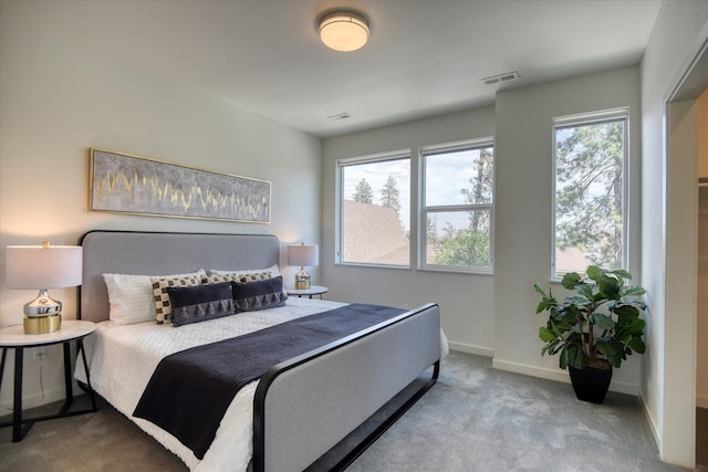 carpeted bedroom with multiple windows