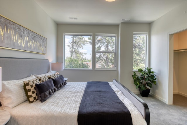 carpeted bedroom with a spacious closet and a closet