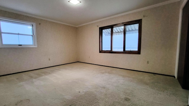 carpeted empty room with crown molding, a healthy amount of sunlight, and baseboards