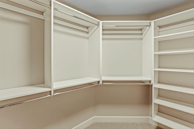 view of walk in closet