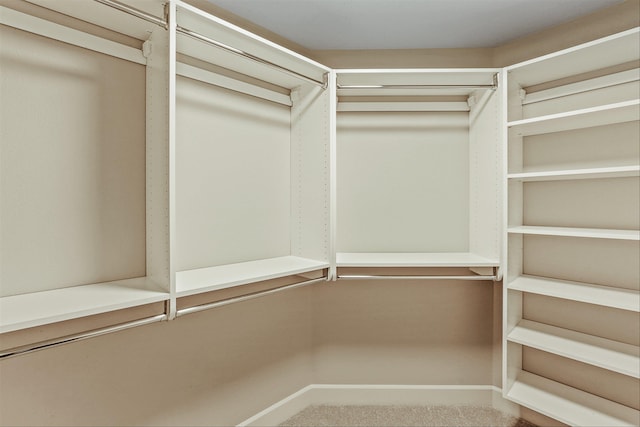 16924 E 16th Ln, Spokane Valley, WA 99037 - view of walk in closet