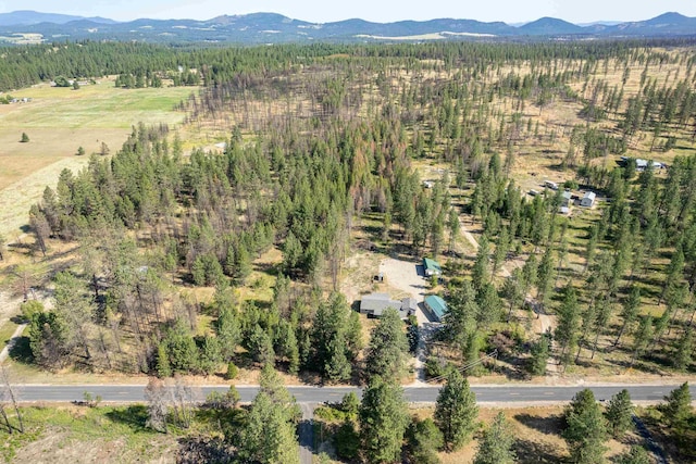 birds eye view of property featuring a mountain view