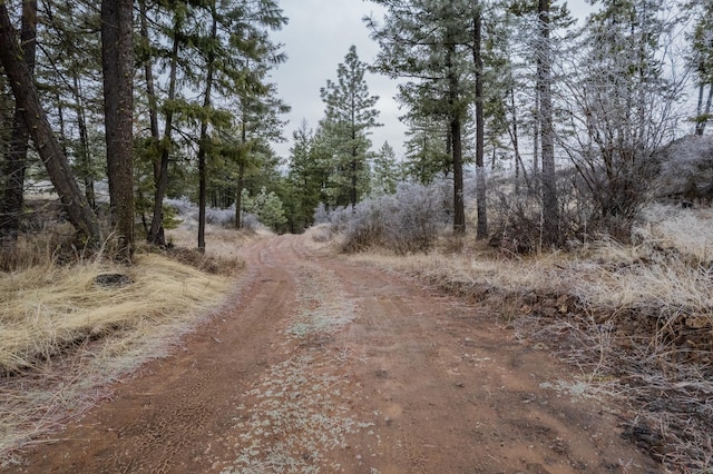 NKA N Mathias Ln, Nine Mile Falls WA, 99026 land for sale