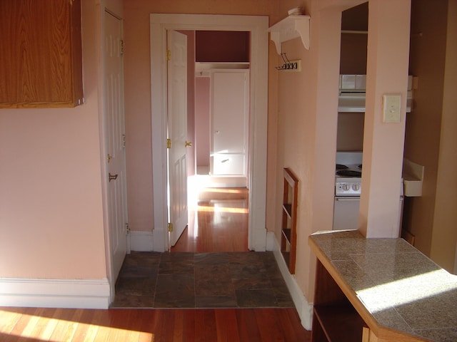 hallway featuring dark hardwood / wood-style flooring