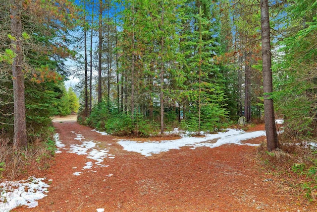 view of snow covered land