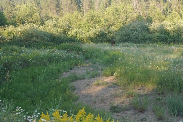 331 Franco Ln, Cusick, WA 99119 - photo 24