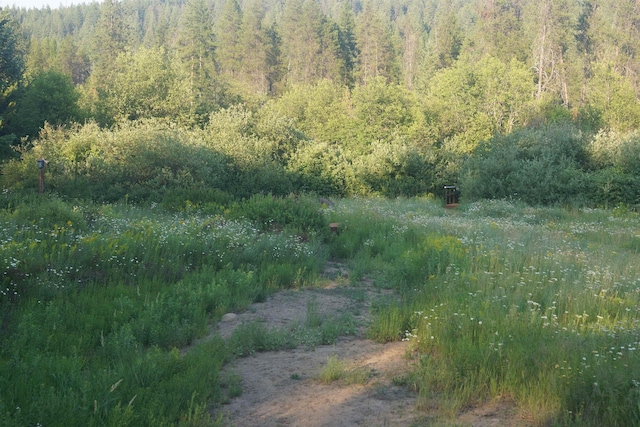 331 Franco Ln, Cusick, WA 99119 - photo 25