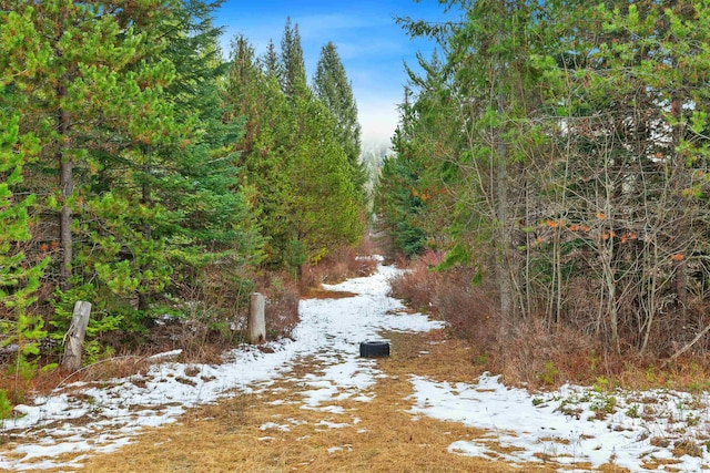 view of snowy landscape