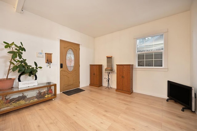 entryway featuring light hardwood / wood-style flooring