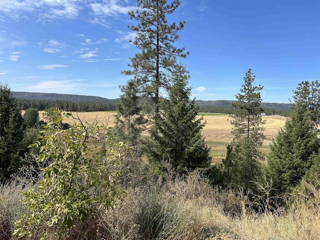 4256 231st Hwy, Springdale WA, 99173 land for sale