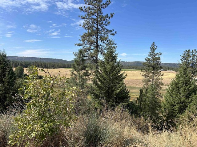4256 231st Hwy, Springdale, WA 99173 - photo 1