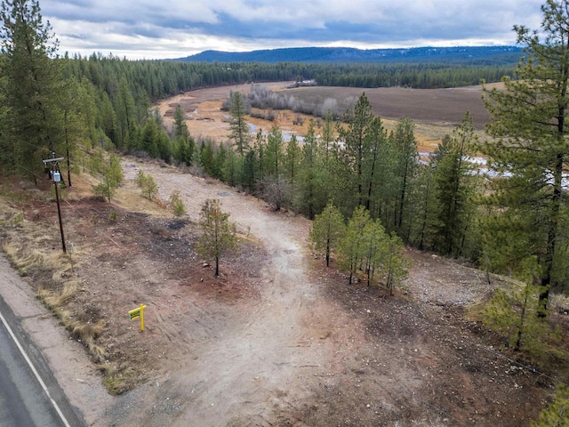 4256 231st Hwy, Springdale, WA 99173