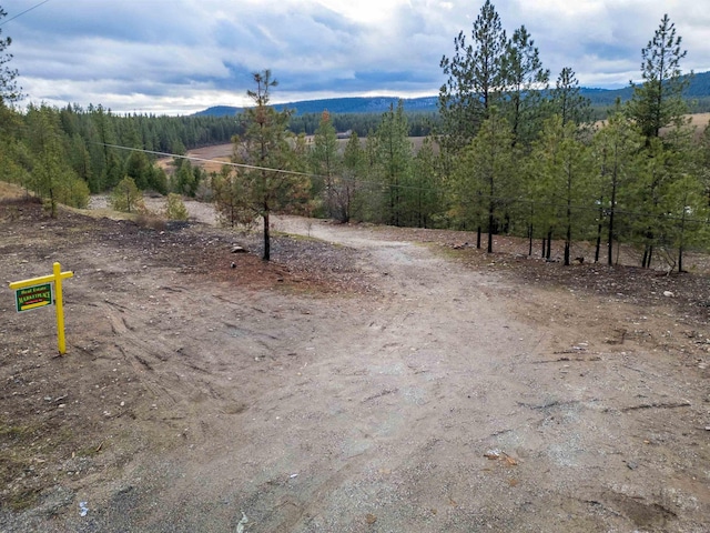 4256 231st Hwy, Springdale, WA 99173