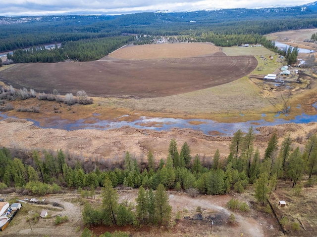 4256 231st Hwy, Springdale, WA 99173