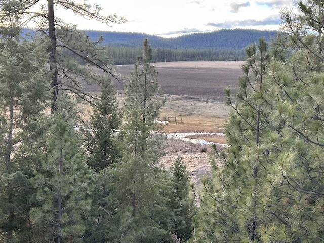4256 231st Hwy, Springdale, WA 99173
