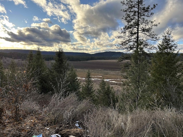 4256 231st Hwy, Springdale, WA 99173