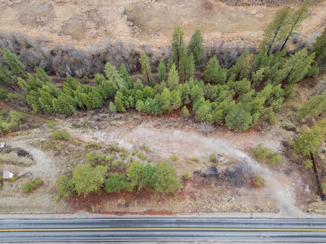 4256 231st Hwy, Springdale, WA 99173