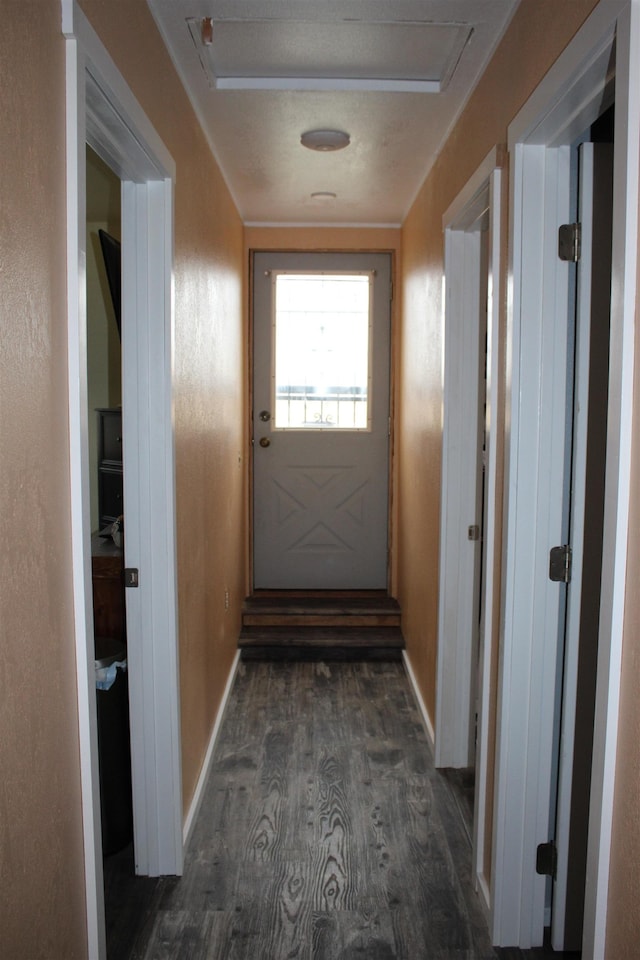 doorway featuring dark hardwood / wood-style flooring