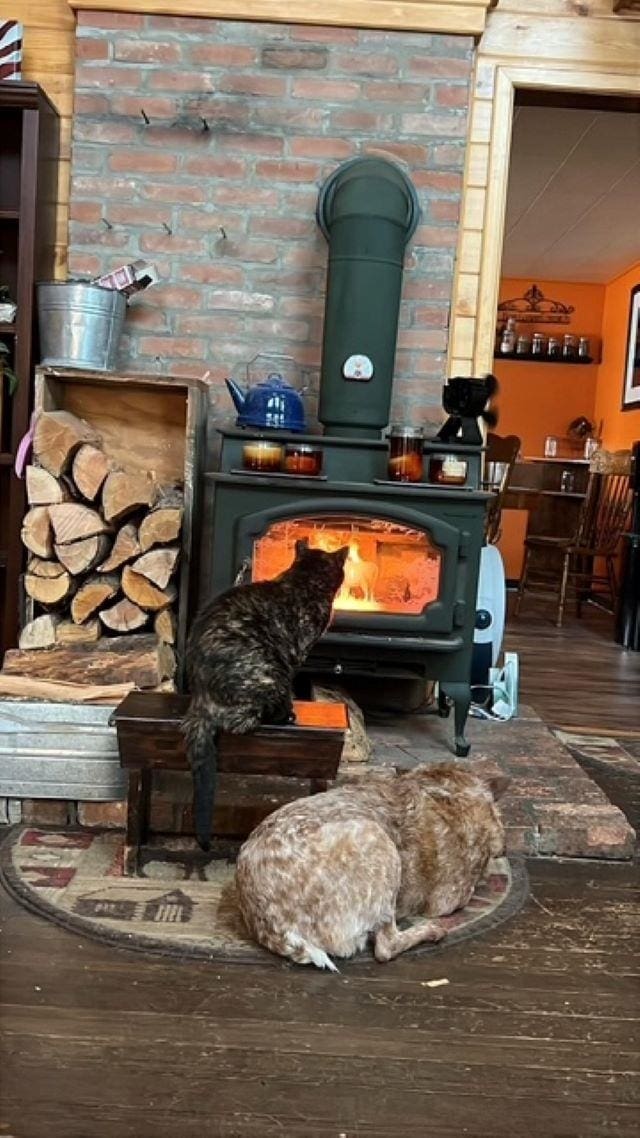 details with a wood stove and hardwood / wood-style floors