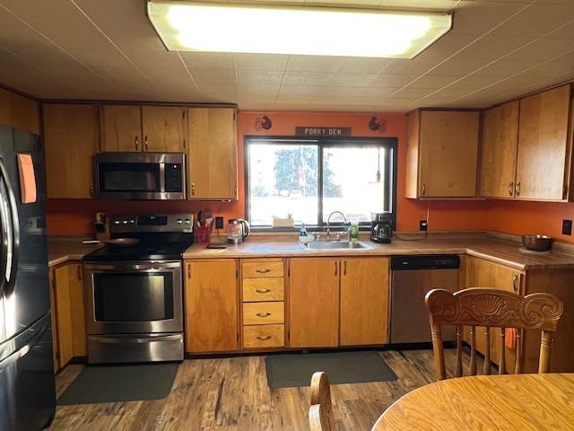 kitchen featuring dark wood-type flooring, sink, and stainless steel appliances