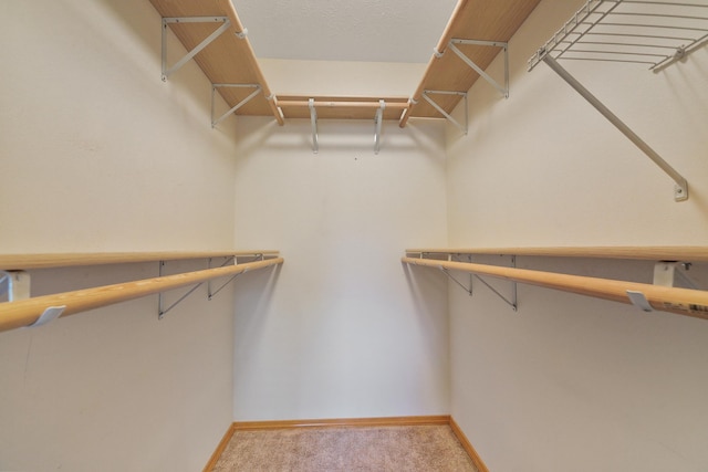 spacious closet with carpet