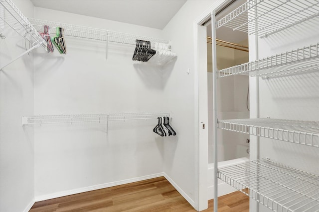 spacious closet with wood-type flooring